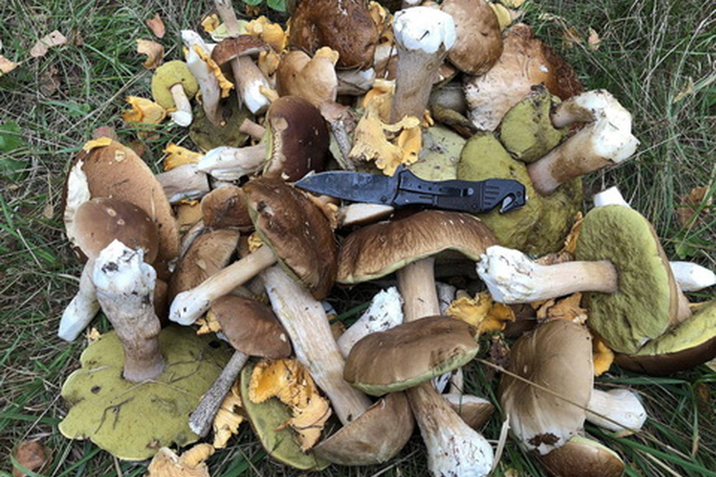 Iliustracija