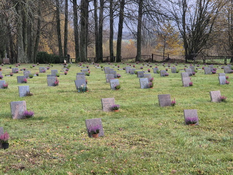 004_20251103.jpg