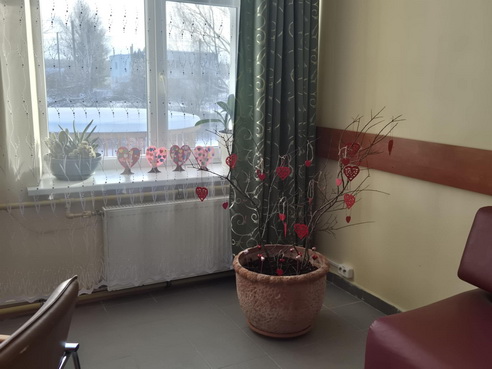 002_20260218.jpg